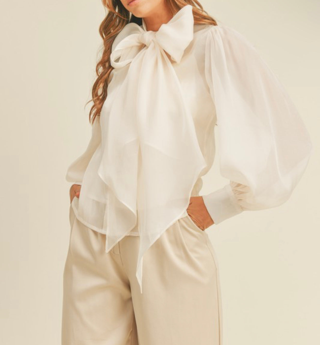 Ivory Sheer Tie-Neck Blouse with Matching Camisole